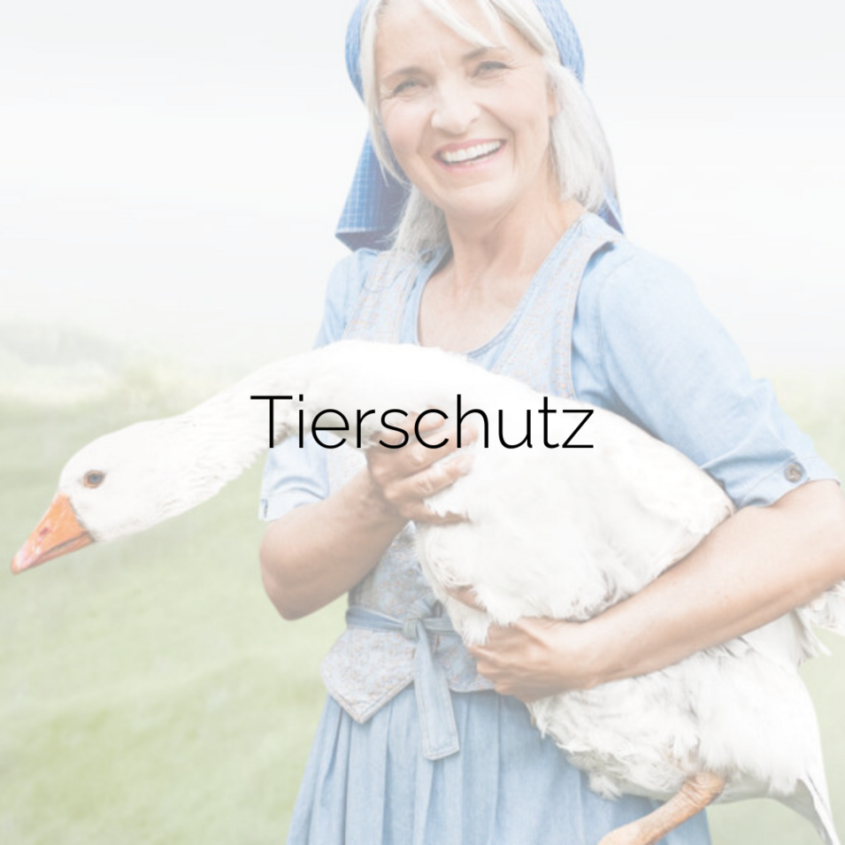 Frau im blauen Kleid hält eine weiße Gans auf dem Arm. Bildaufschrift "Tierschutz".