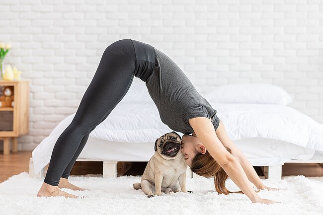 Person in der Yoga-Pose "Herabschauenden Hund" auf hellem Teppich, darunter ein sitzender Mops. 