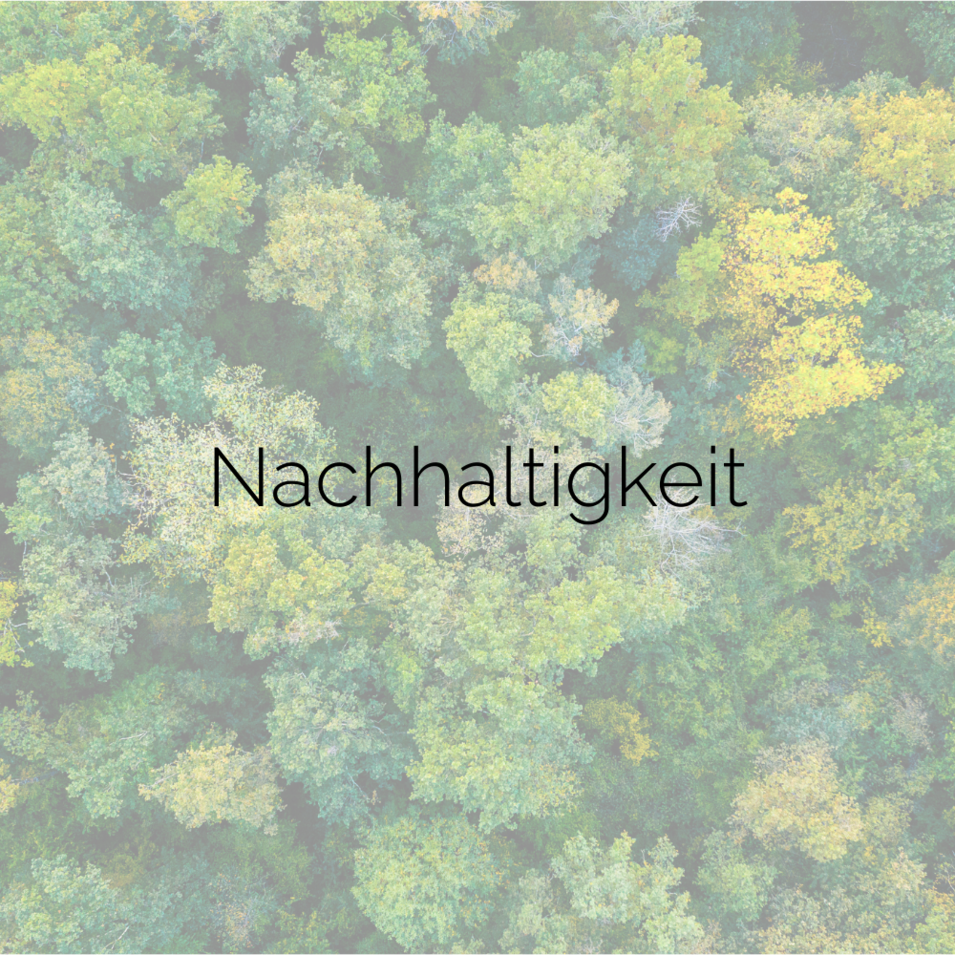 Luftaufnahme eines grünen Waldes. Bildaufschrift "Nachhaltigkeit".