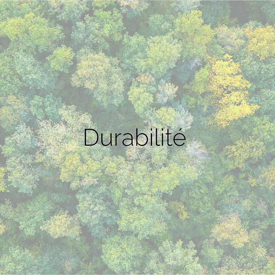 Vue aérienne d'une forêt. Légende de la photo : « Durabilité ».