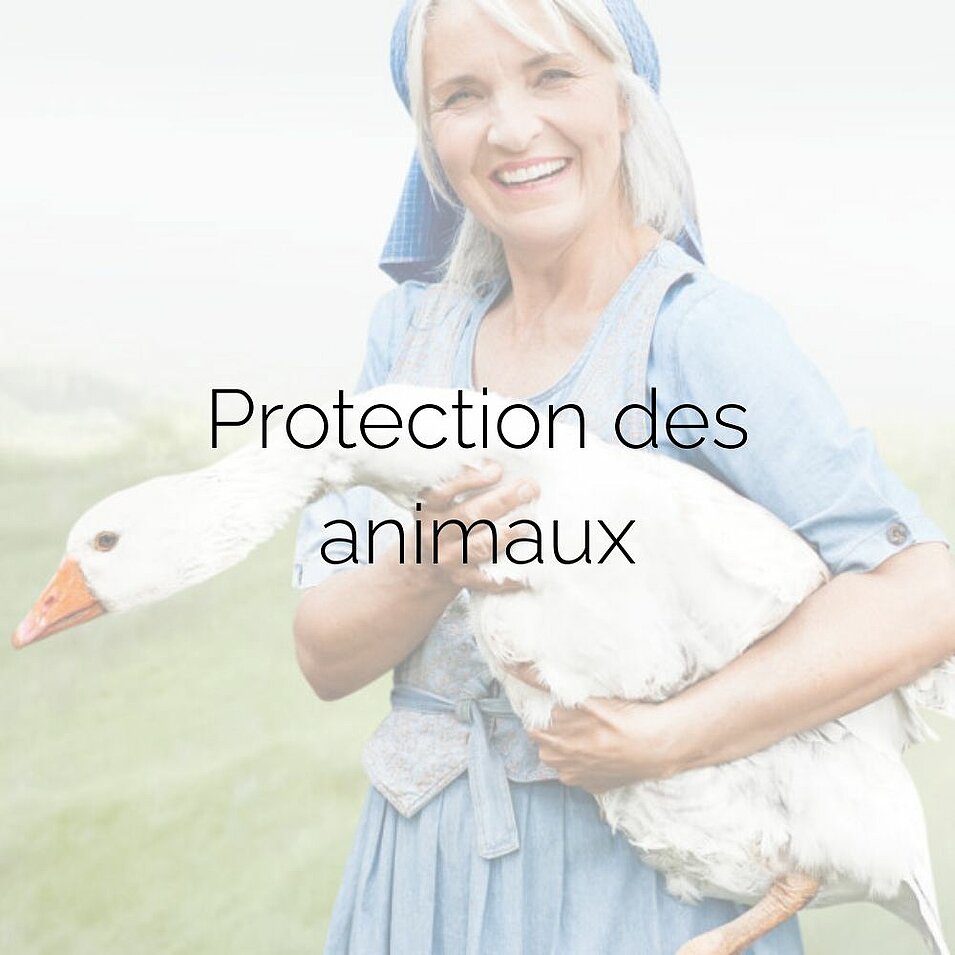 Une femme vêtue d'une robe bleue tient une oie blanche dans ses bras. Légende de la photo : « Protection des animaux ».