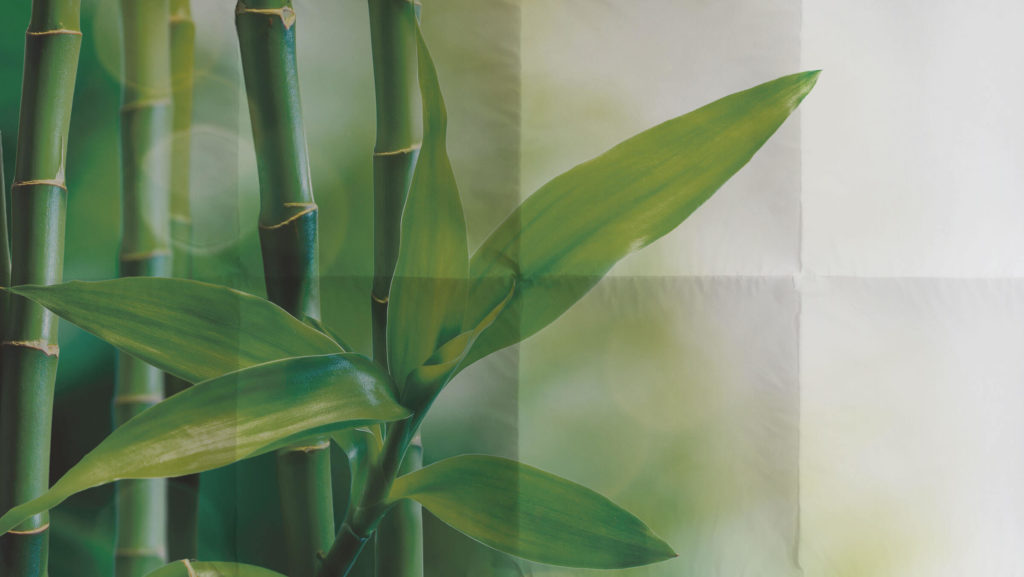 Bambus - Decke  aus der KAUFFMANN Home - Nature Kollektion