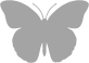 butterfly_58