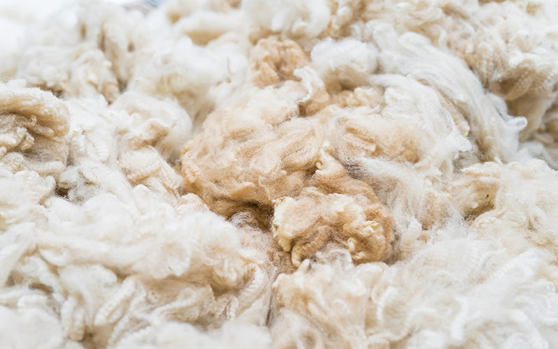 Alpaga-Wolle - ideal für Naturhaardecken
