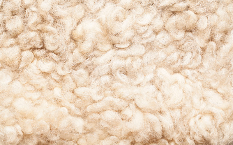 Schafwolle - ideal für Naturhaardecken